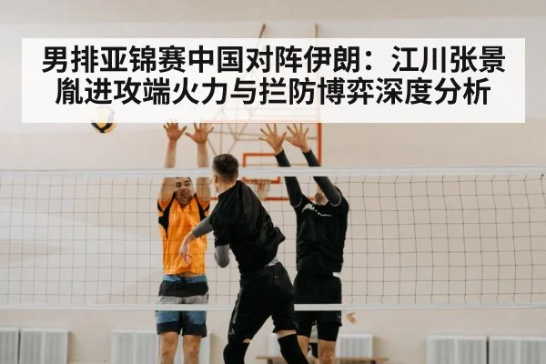 volleyball block net